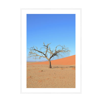 A Solitary Tree I, 2019 - [ Arté ]