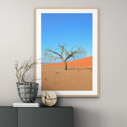 A Solitary Tree I, 2019 - [ Arté ]